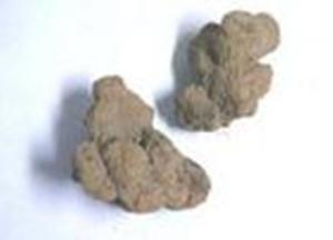 鼻血雷