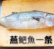 鲃鱼图册