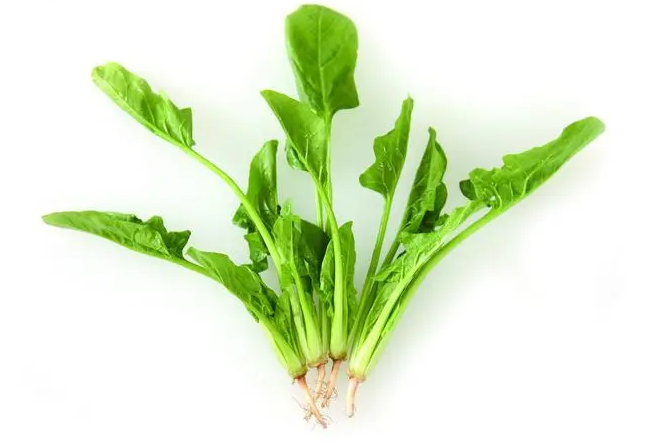 菠菜