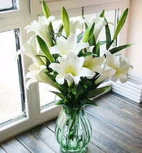 百合