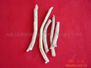 白鲜皮