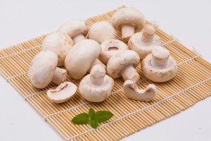 蒙古口蘑