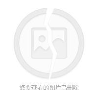 白蒿花图册