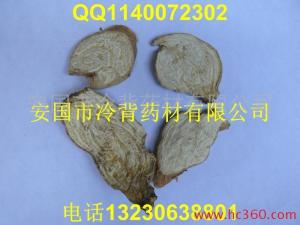 白狼毒图册