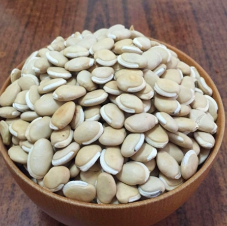 白扁豆