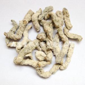 白僵蚕