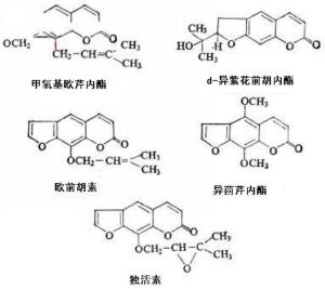 白云花根化学成分