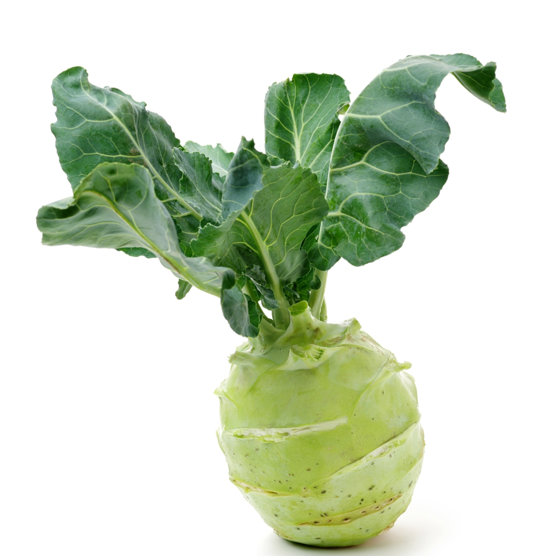 球茎甘蓝