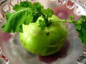 球茎甘蓝