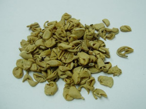 扁豆衣