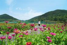 花海运动场