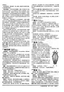 豉虫医术简介