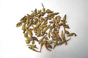 藏三七图册