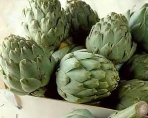 菜蓟