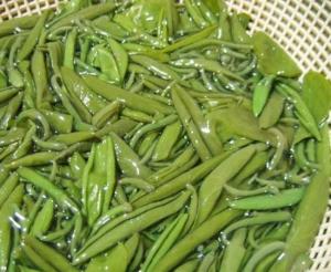 莼菜