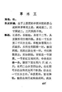 草木王