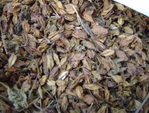 臭梧桐花（药用干品）