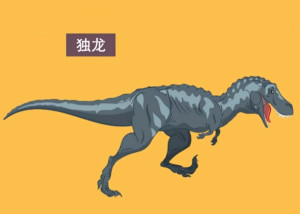 独龙