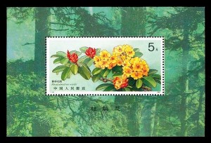 杜鹃花邮票（小型张）