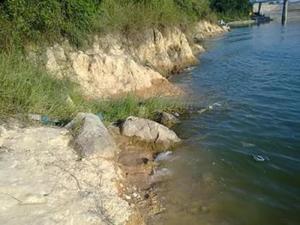 大青草图册