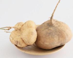 豆薯