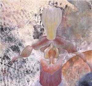 兜兰画