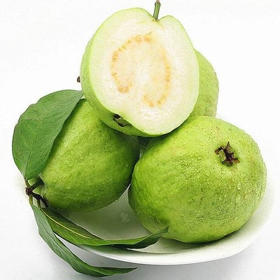 番石榴