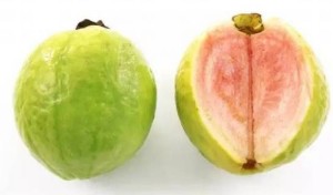 番石榴