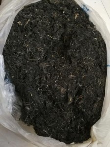 发菜