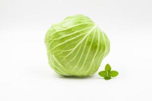 甘蓝