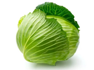 甘蓝