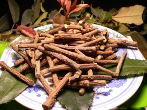 甘草节图册