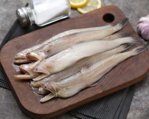 龙头鱼