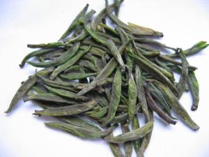 黄茶根图册