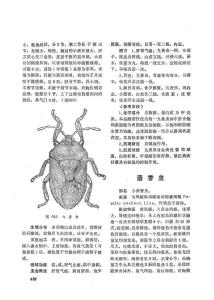 合并图册