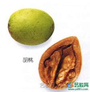 胡桃油图片说明