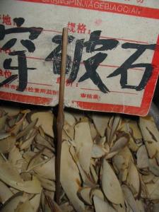 红穿石破