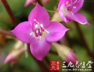 红敷地发
