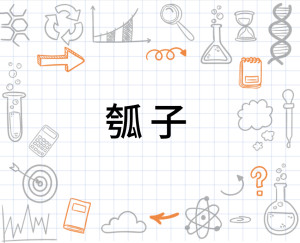 瓠子
