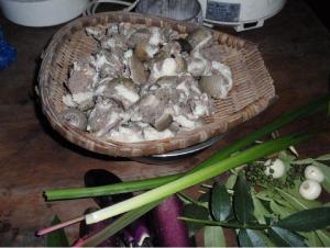獾肉、一种动物