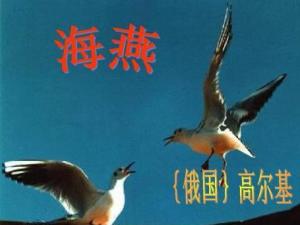 海燕