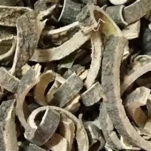 合欢皮