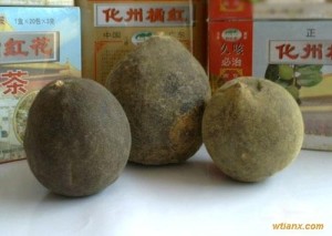 化橘红
