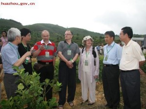 化橘红基地