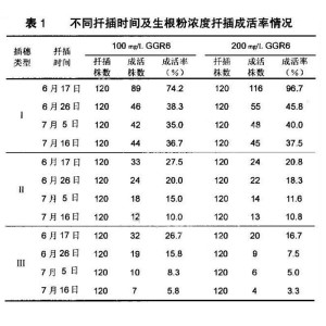 不同扦插时间及生根粉浓度扦插成活率情况
