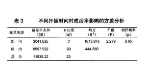 不同扦插时间对成活率影响