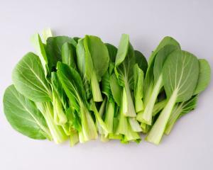 鸡毛菜