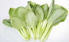 鸡毛菜