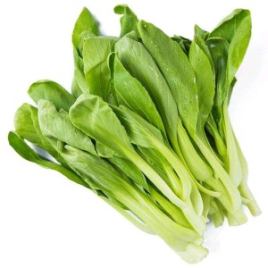 鸡毛菜