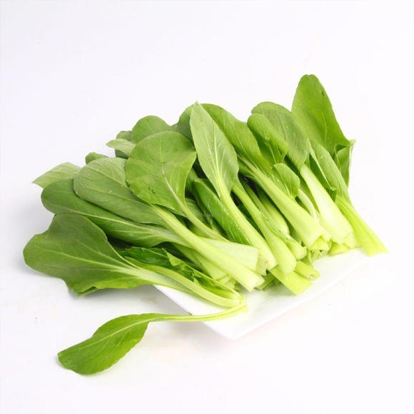 鸡毛菜